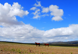 Enjoy a breath of fresh air in Napier
